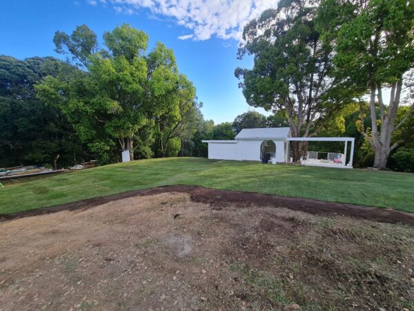 Defender Hybrid bermuda Grass